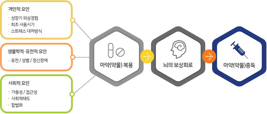 마약(약물)중독의 원인